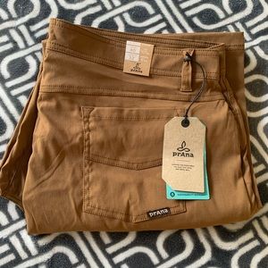 Prana Brion Pant
